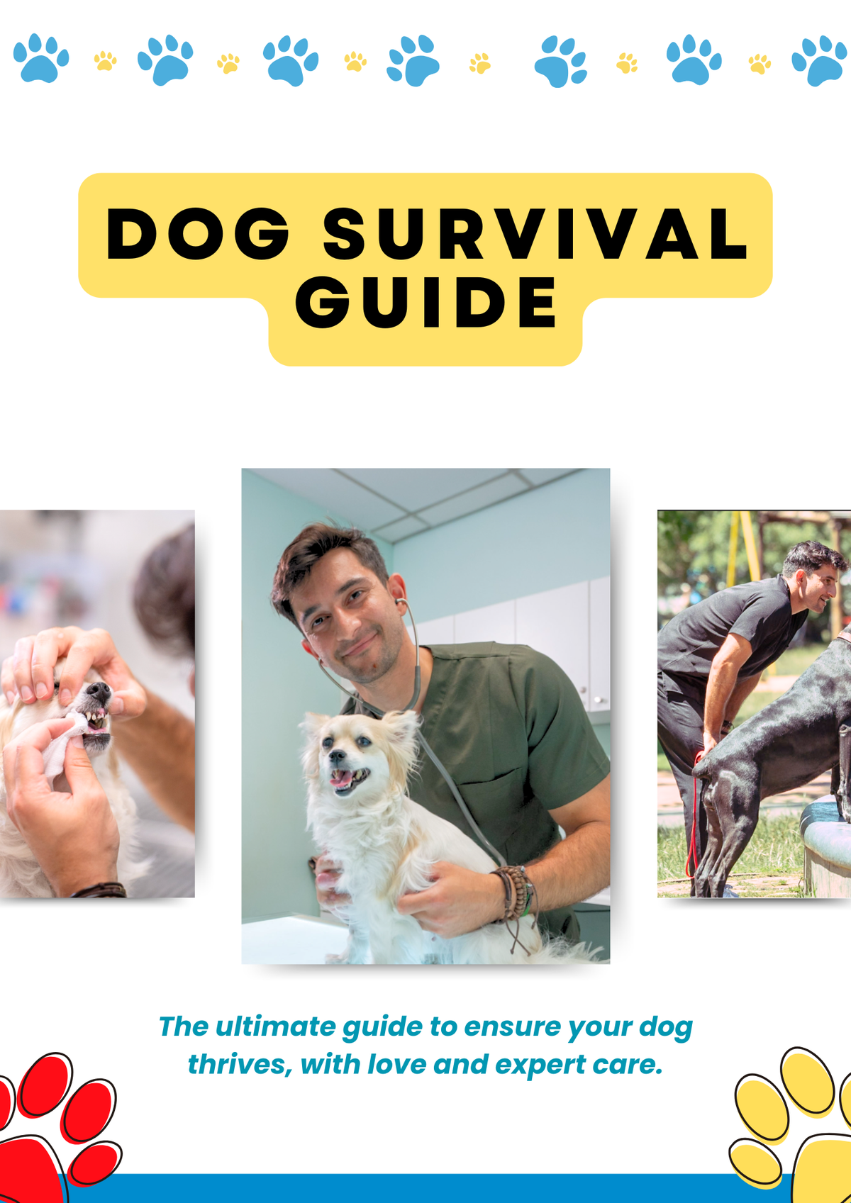 Amir's Pet Survival Guide