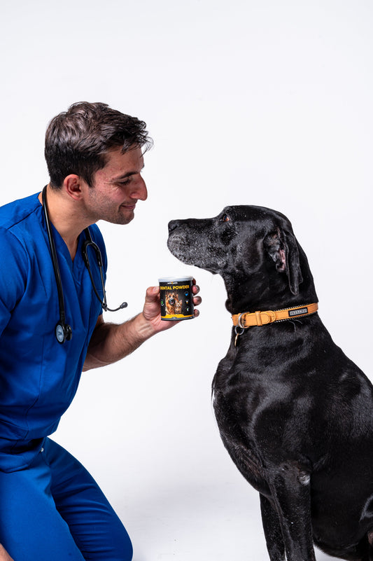 Vets2Pets vs Dentamax Dental Powder