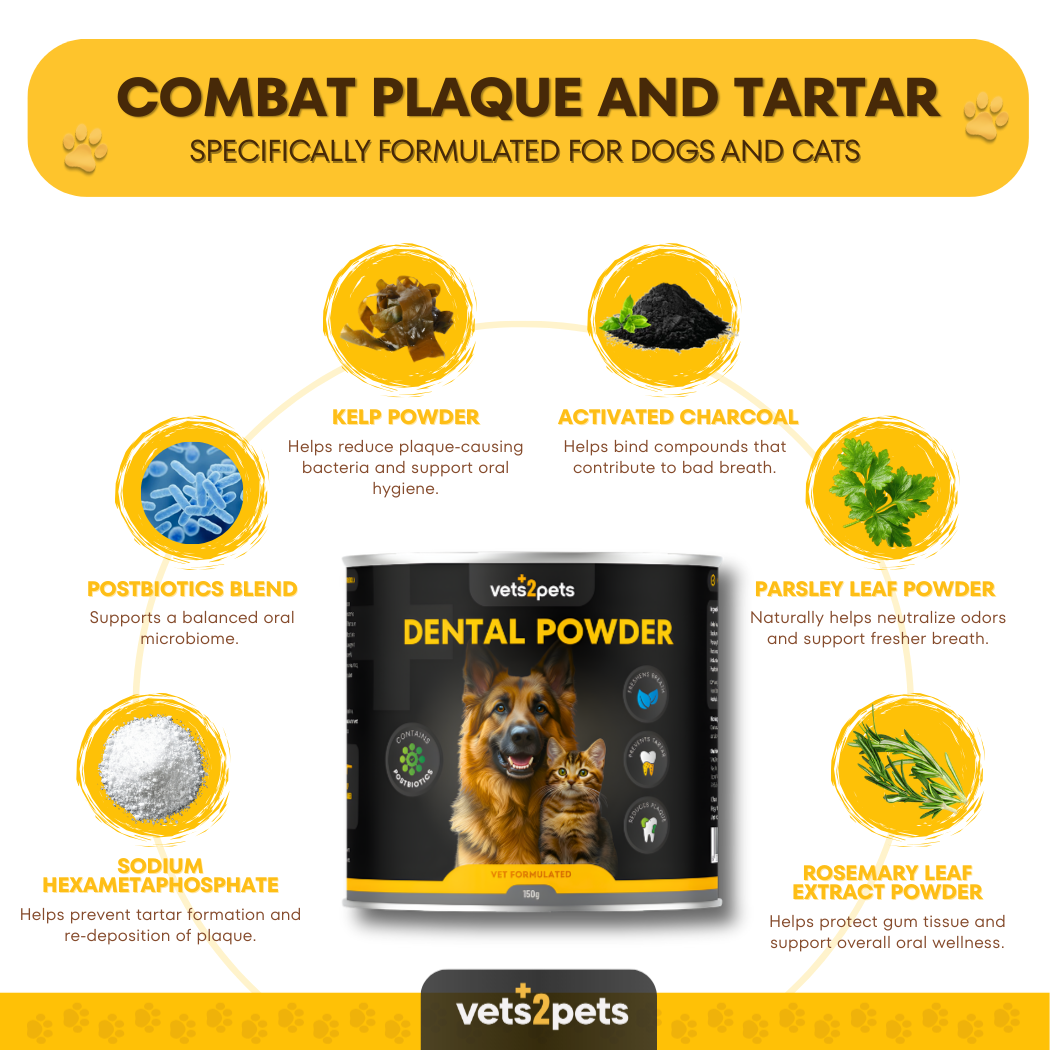 Dental Powder