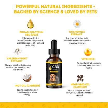 Premium CBD Oil