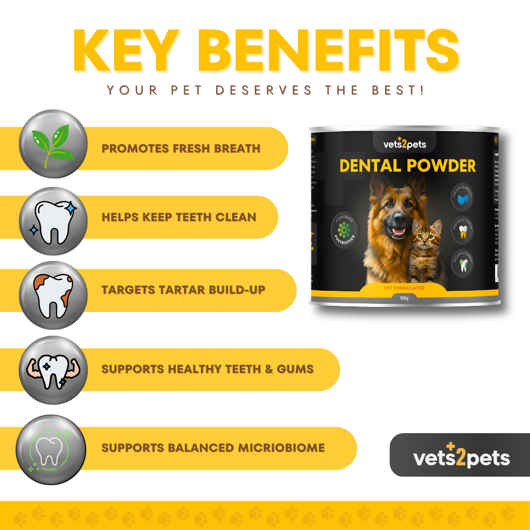 Dental Powder