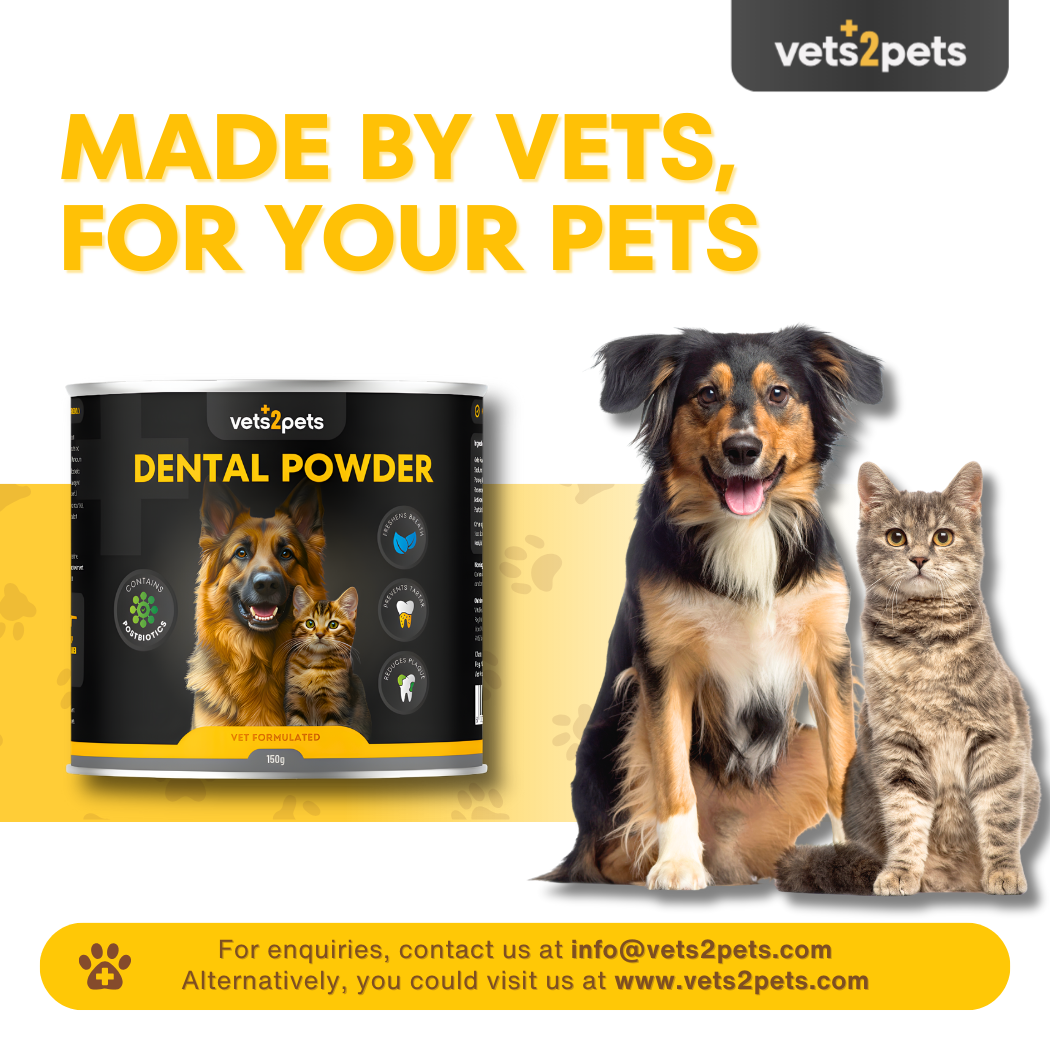 Dental Powder