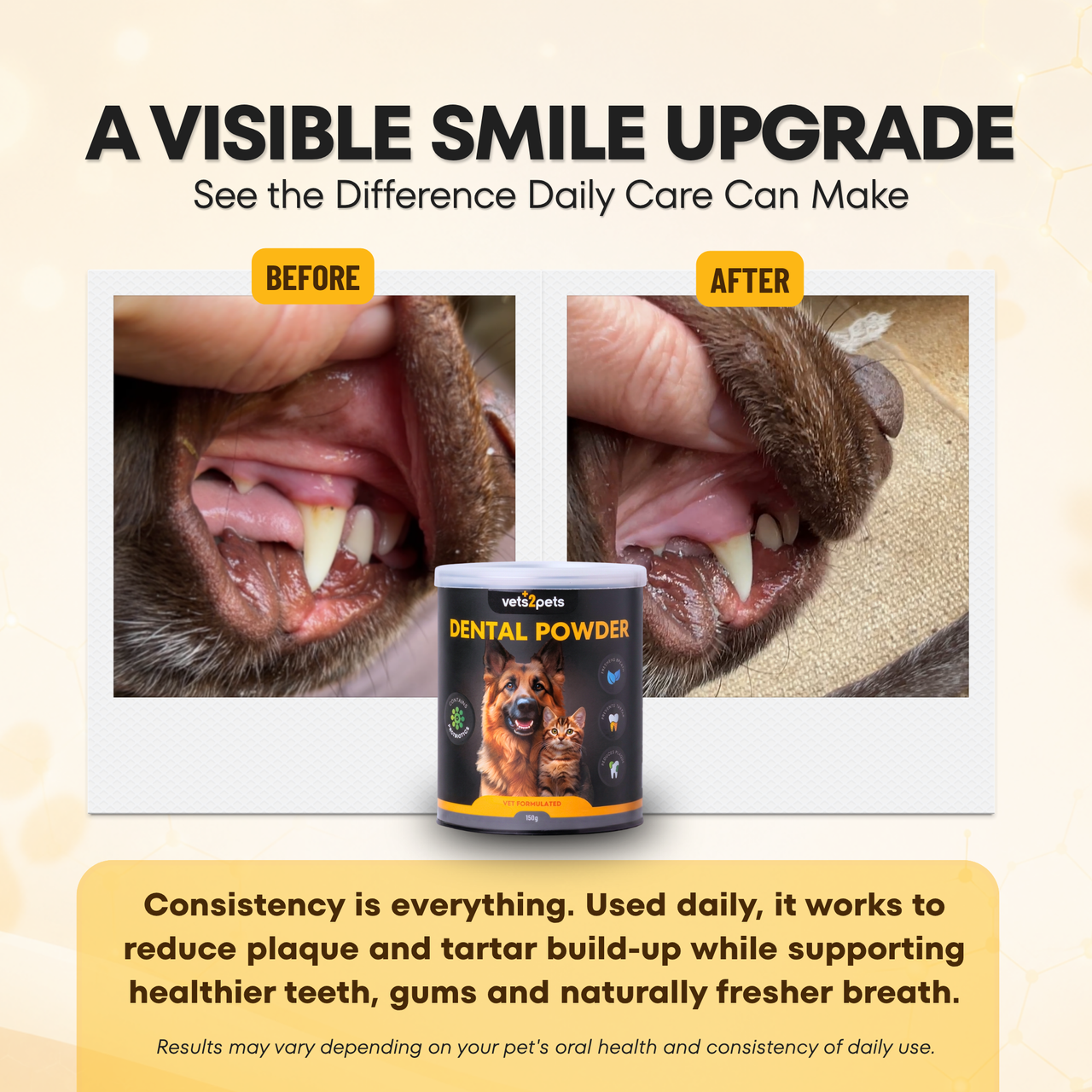 Dental Powder