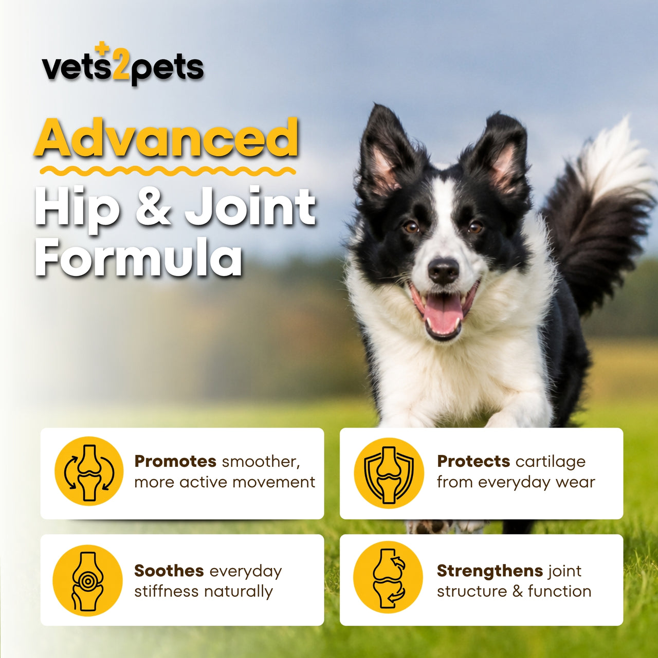 Joint Support Powder