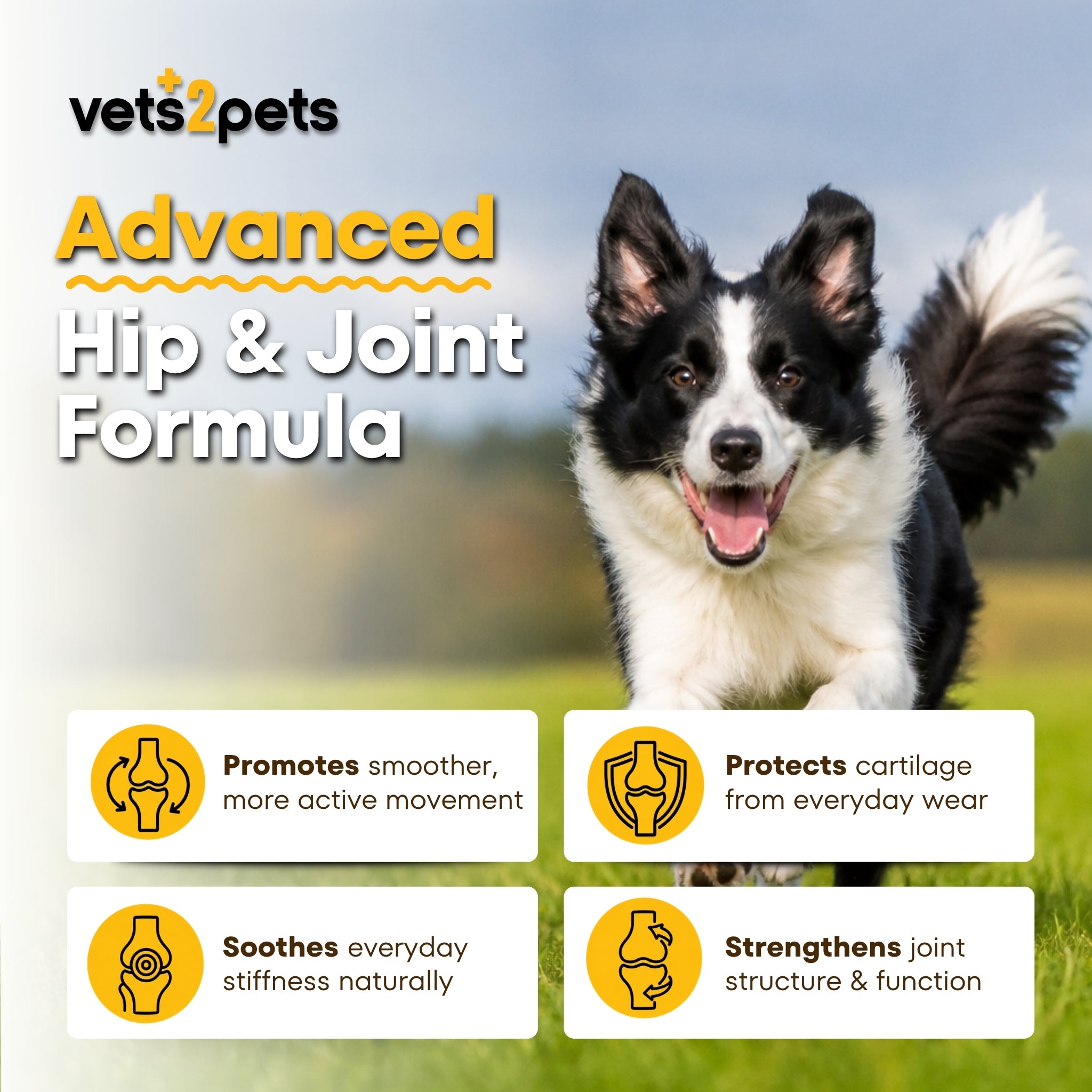 Joint Support Powder