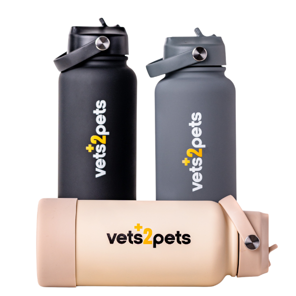 Insulated Stainless Steel Water Bottle Promo