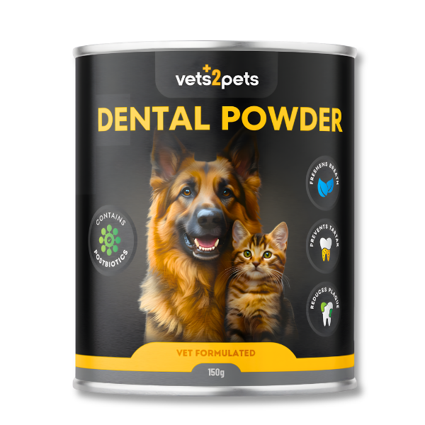 Dental Powder