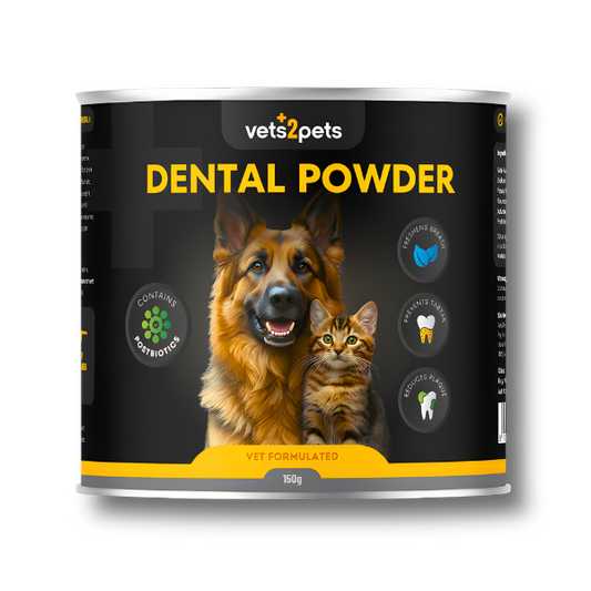 Dental Powder