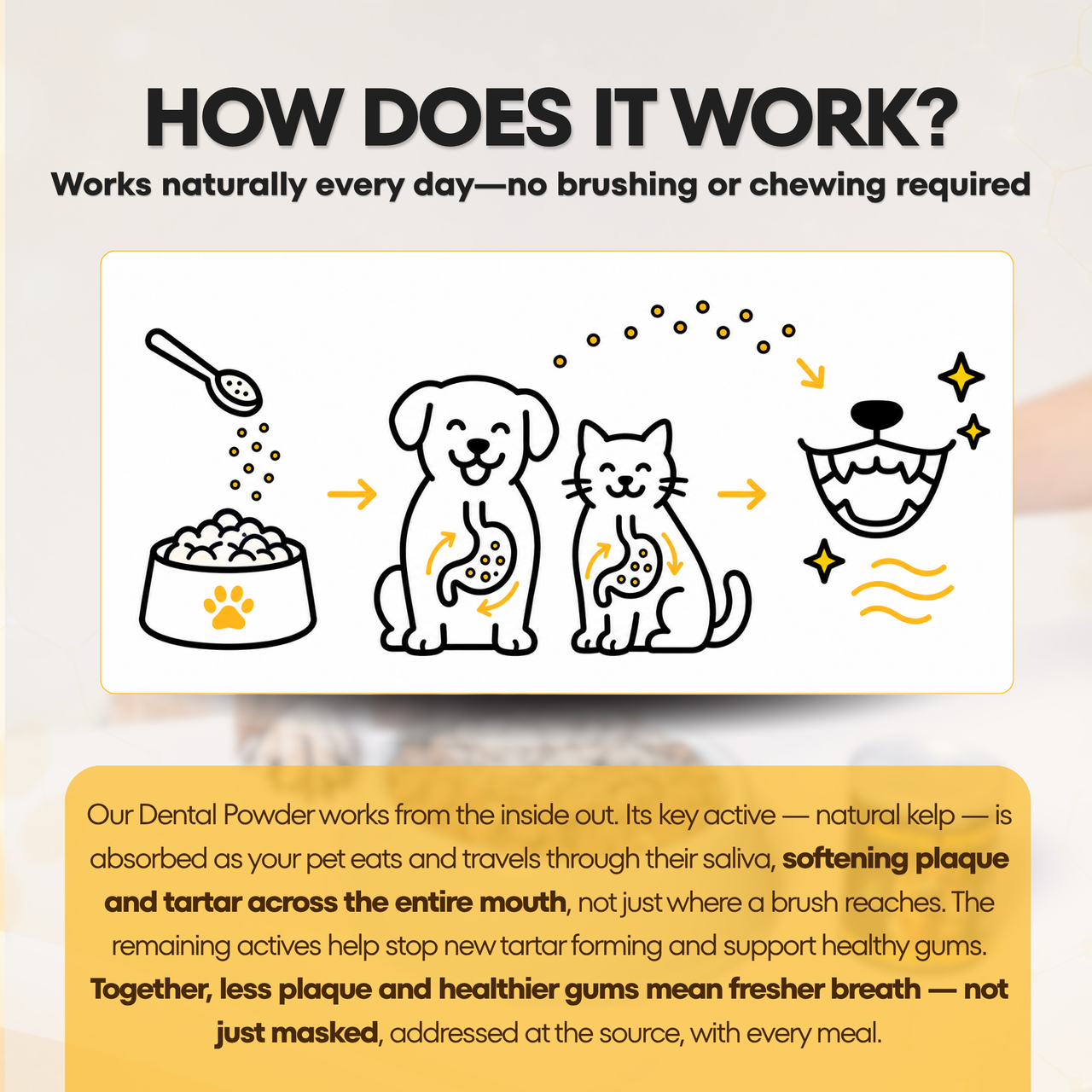Dental Powder