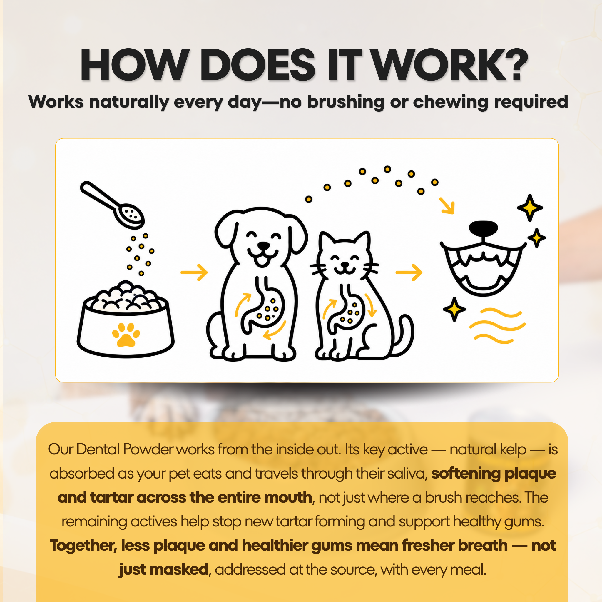 Dental Powder