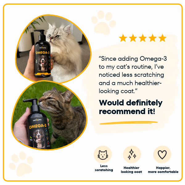OMEGA-3 Cat Renal
