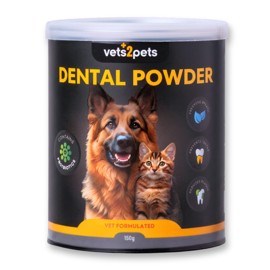 Dental Powder
