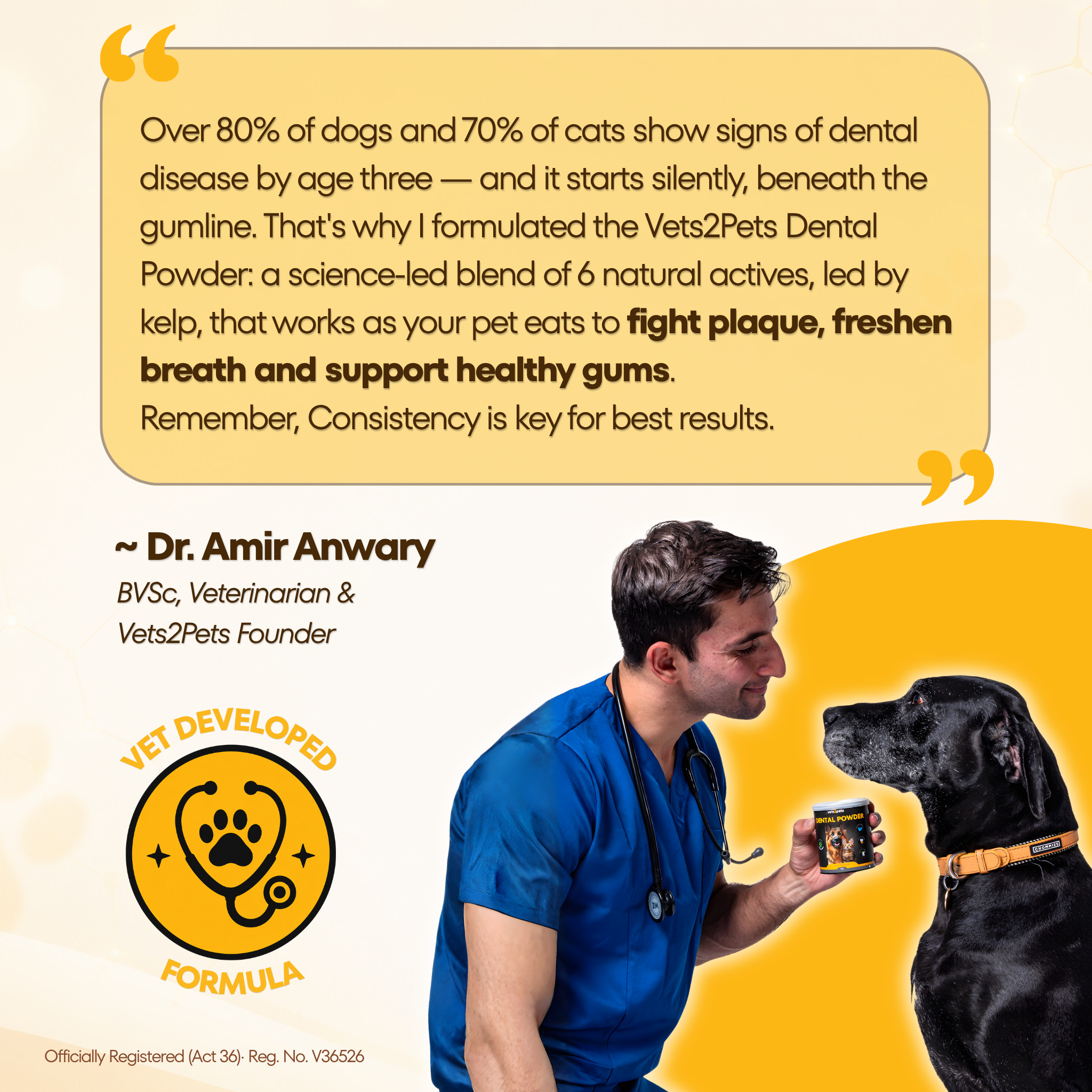 Dental Powder